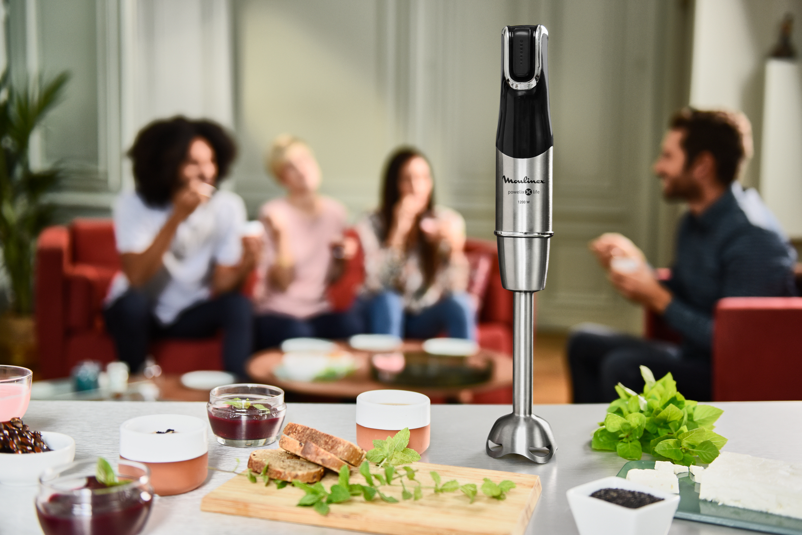 Moulinex Mixeur plongeur DD95HD10