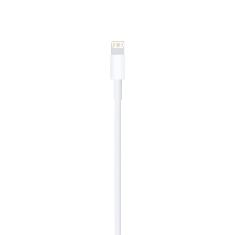 Cable Apple USB-A to Lightning 1m