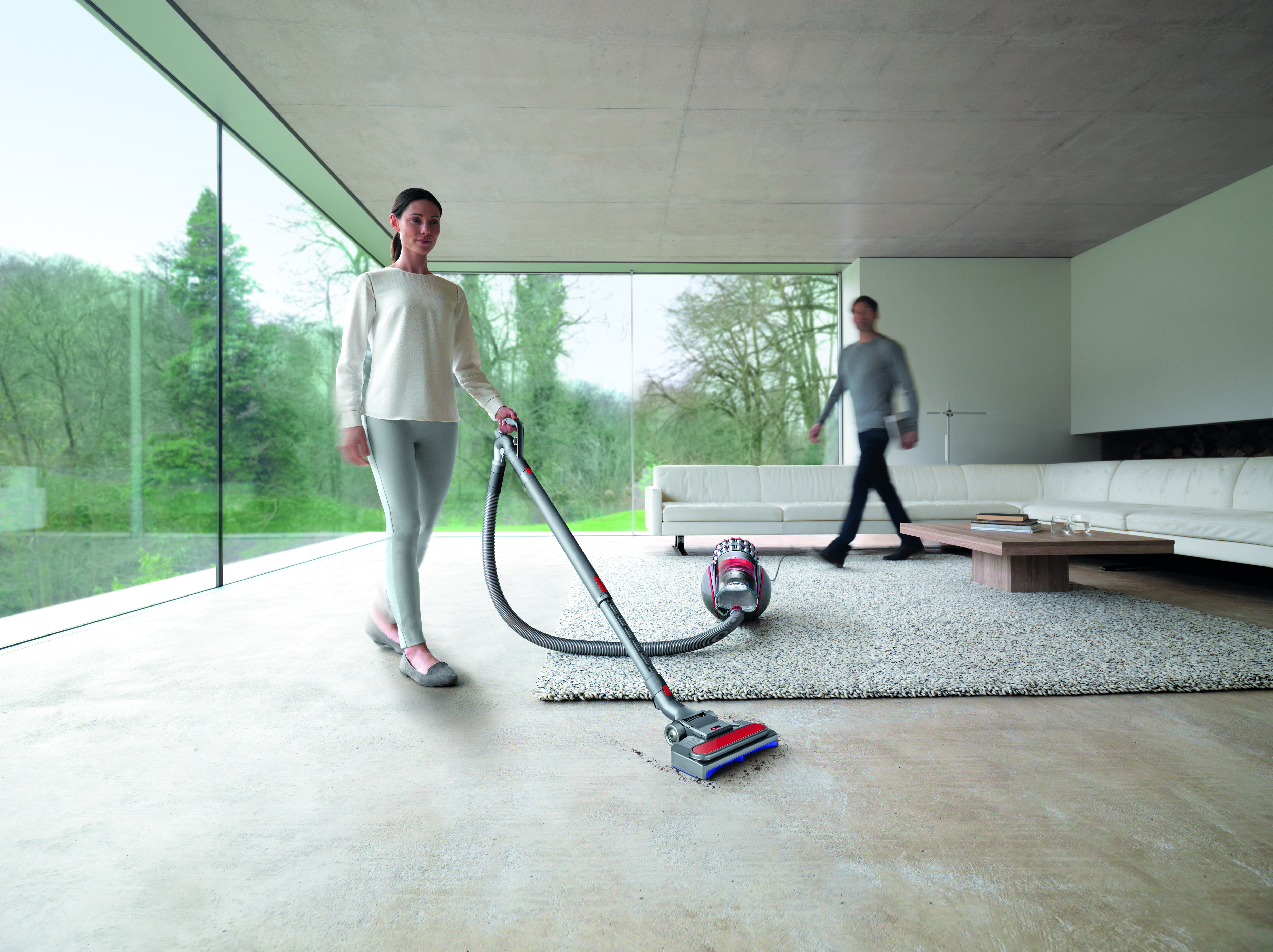 Stofzuiger DYSON 228415-01 Cinetic BigBall Absolute 2