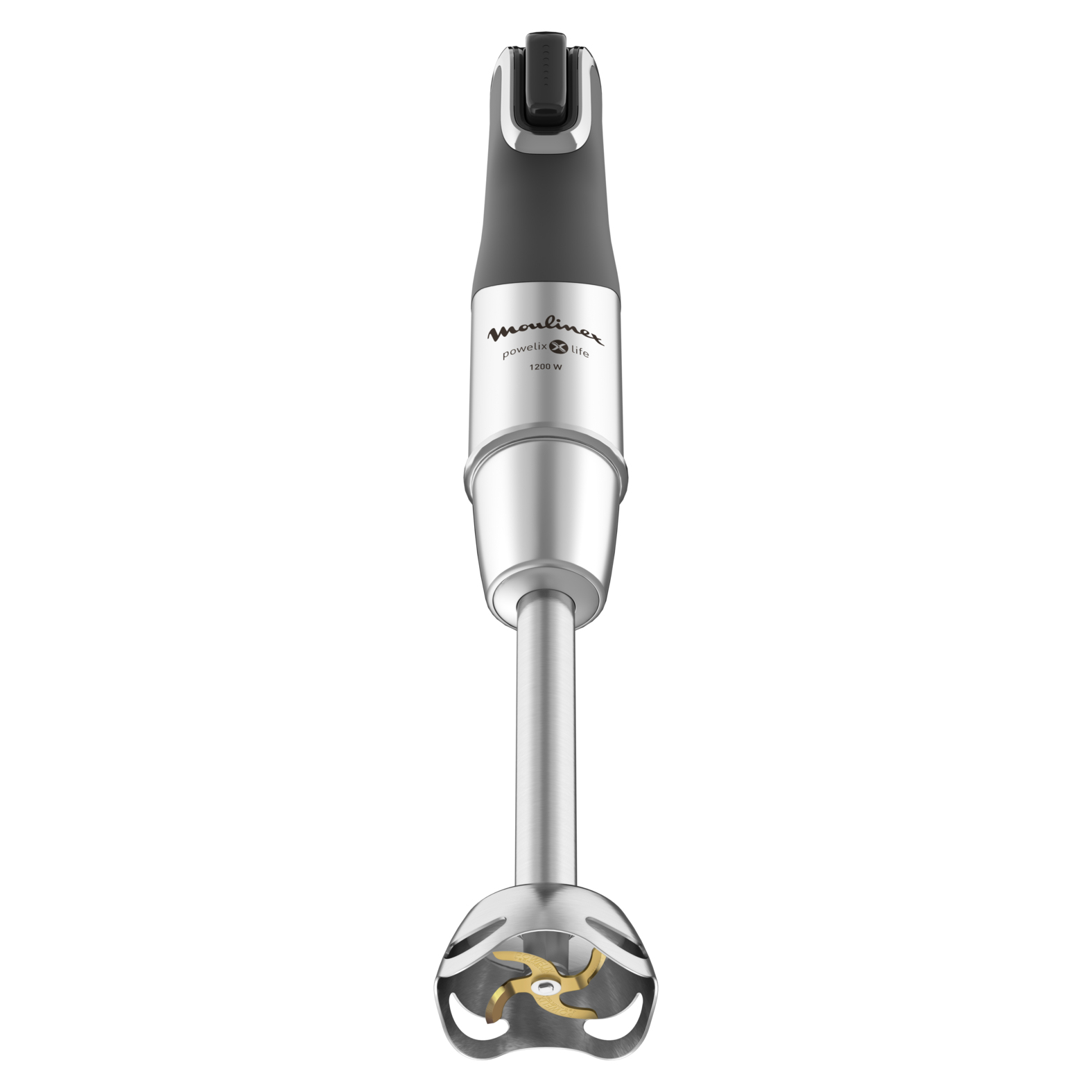 Moulinex Mixeur plongeur DD95HD10