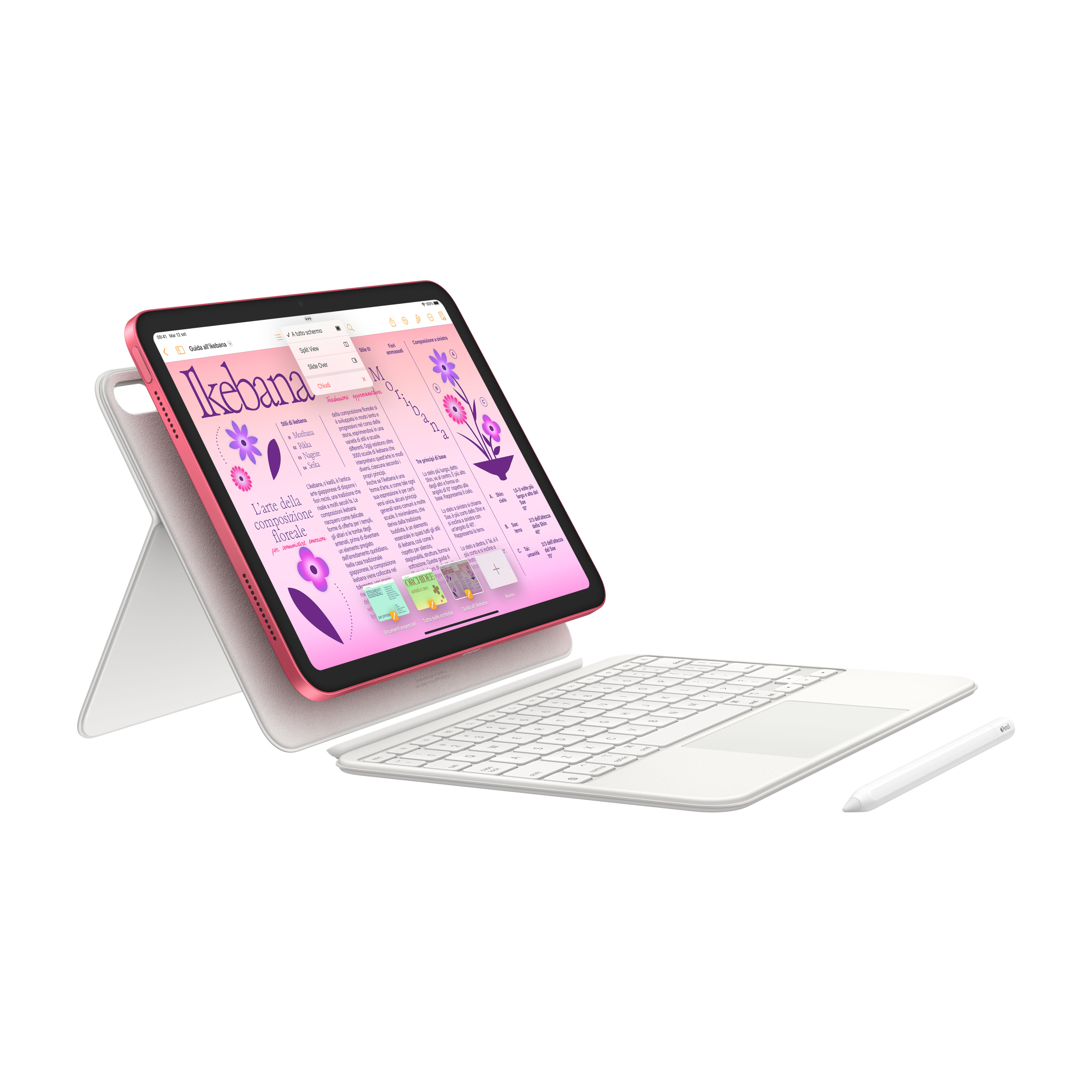 Tablet Apple iPad 10,9" 2024 Wi-Fi + 5G 256GB PINK