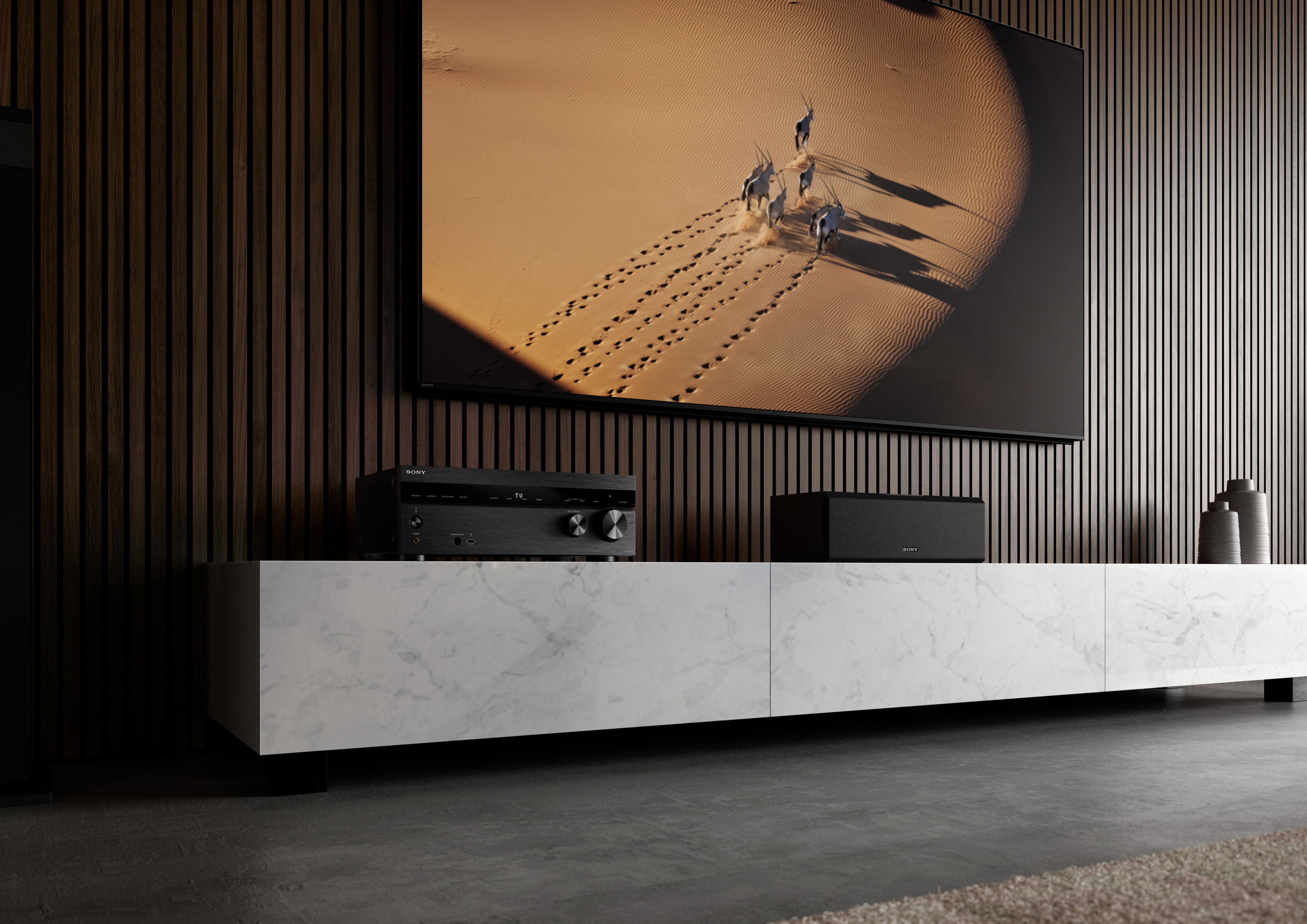 SONY AMPLIFIER TAAN1000