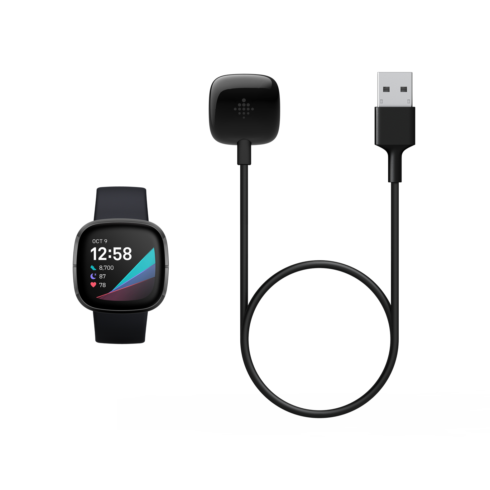 Fitbit FB174RCC slimme draagbare accessoire Oplaadkabel Zwart