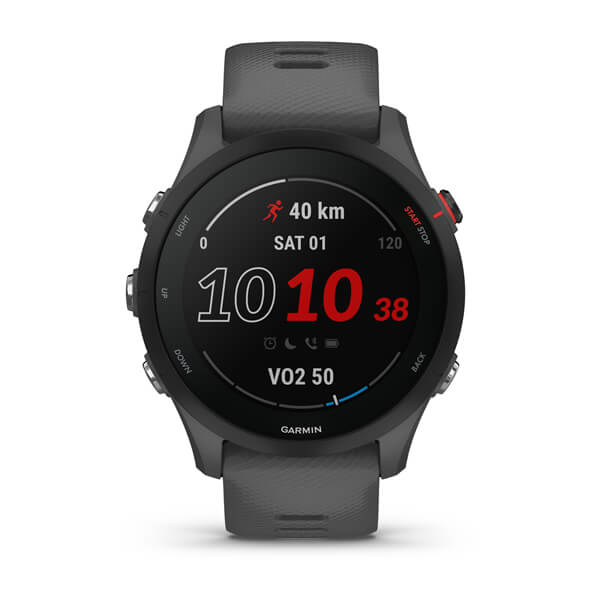 Sportwatch Garmin Forerunner 255 Slate Grey