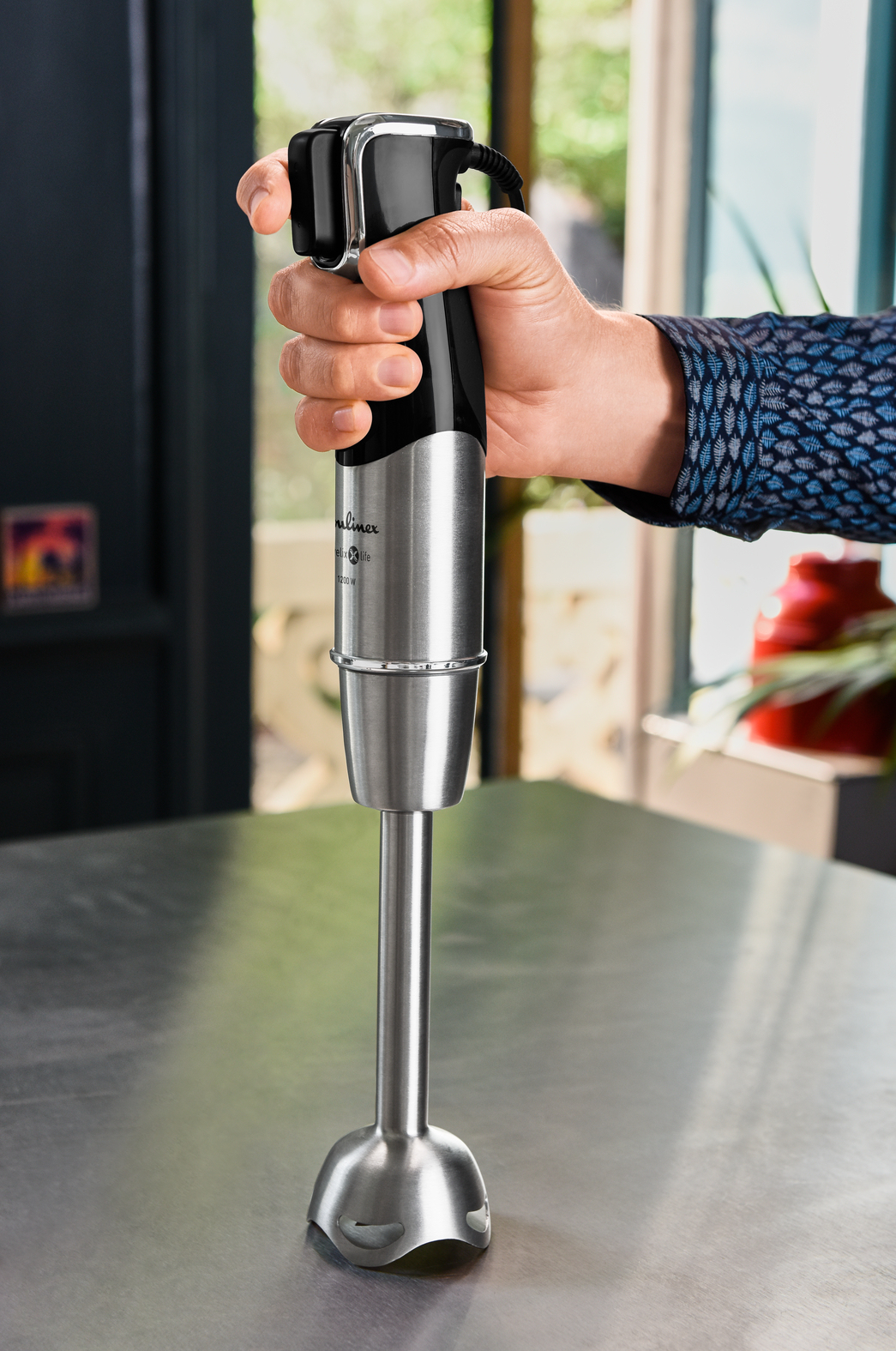 Moulinex Mixeur plongeur DD95HD10