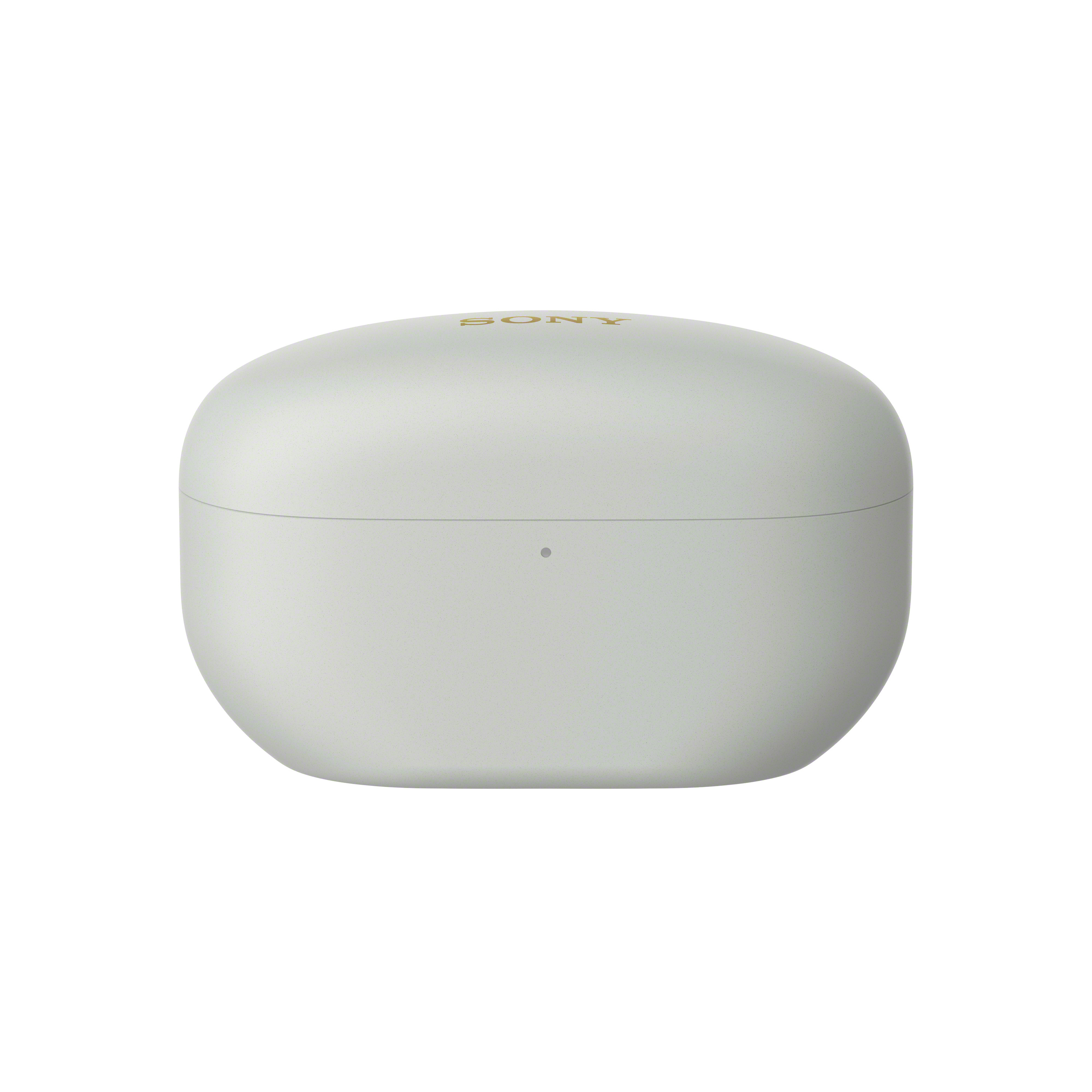 Oordopjes SONY WF1000XM5S zilver