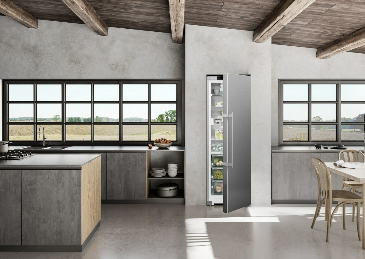 Liebherr Réfrigérateur RBsdc525i22