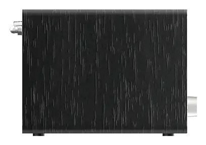 Internetradio PANASONIC RF-D40EG-K zwart