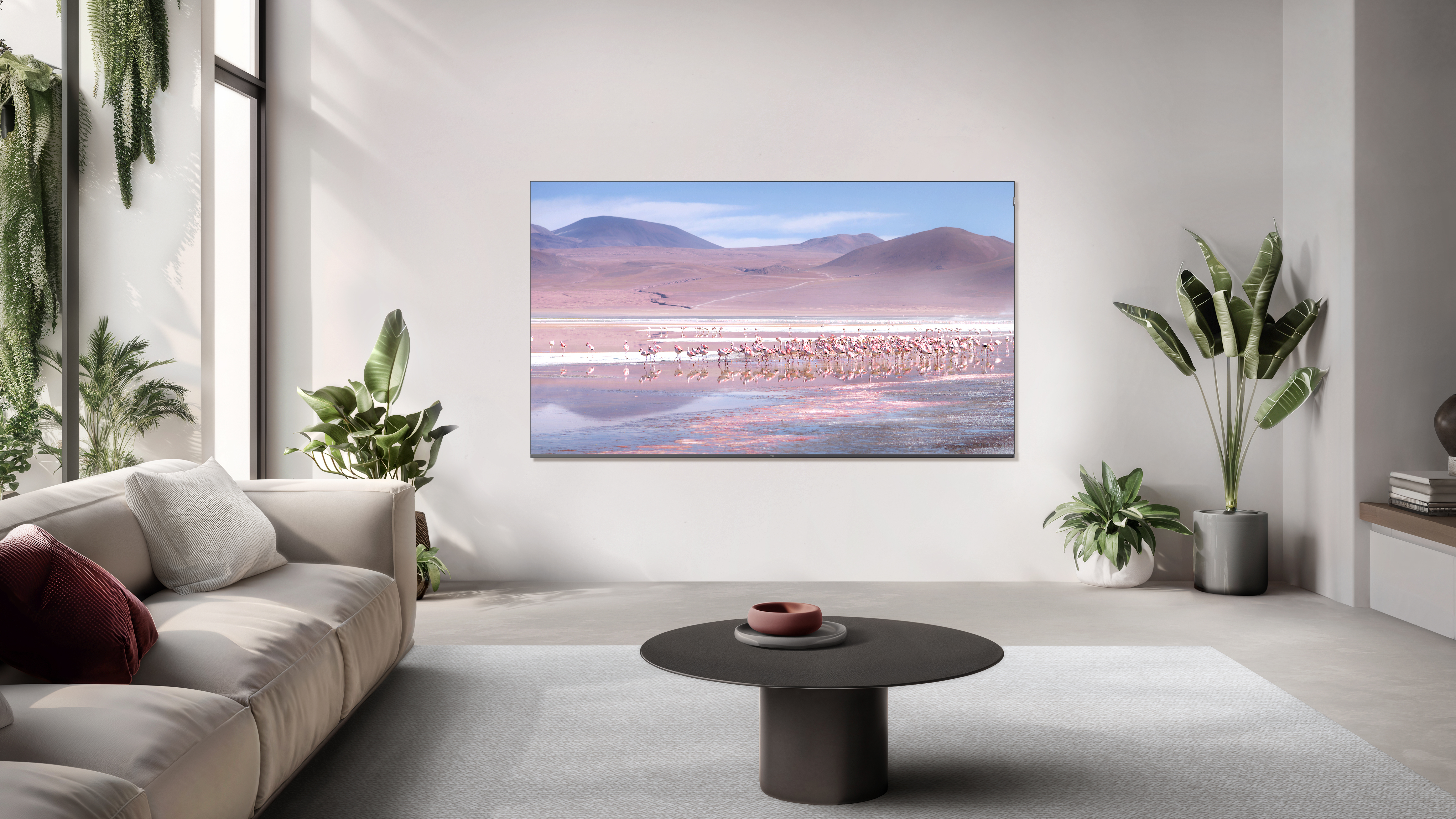 QLED TV TCL 65QLED810K / Google TV