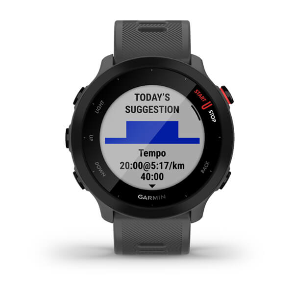 Smartwatch GARMIN FORERUNNER 55 MONTERRA GREY