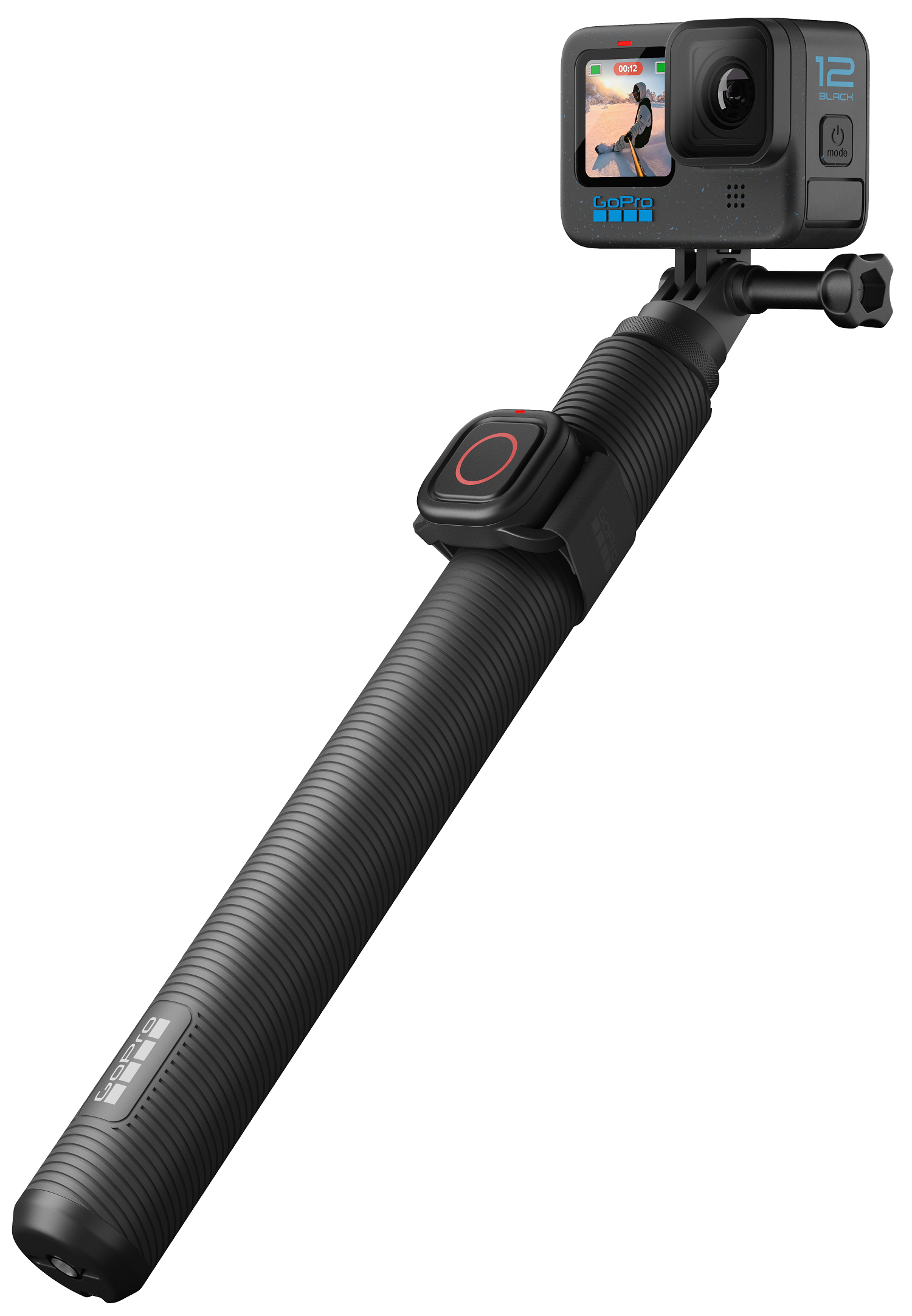 Camera Access. GOPRO AGXTS-002-ES Extension Pole + Remote