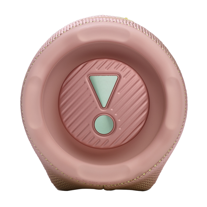 Bluetooth speaker JBL Charge 6 roze