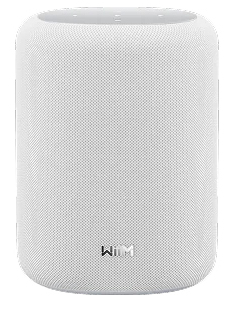 Multiroom speaker WIIM Sound Lite wit