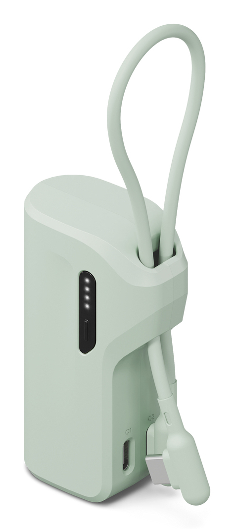 Cygnett CY5355PBCHE banque d'alimentation électrique 5000 mAh Vert
