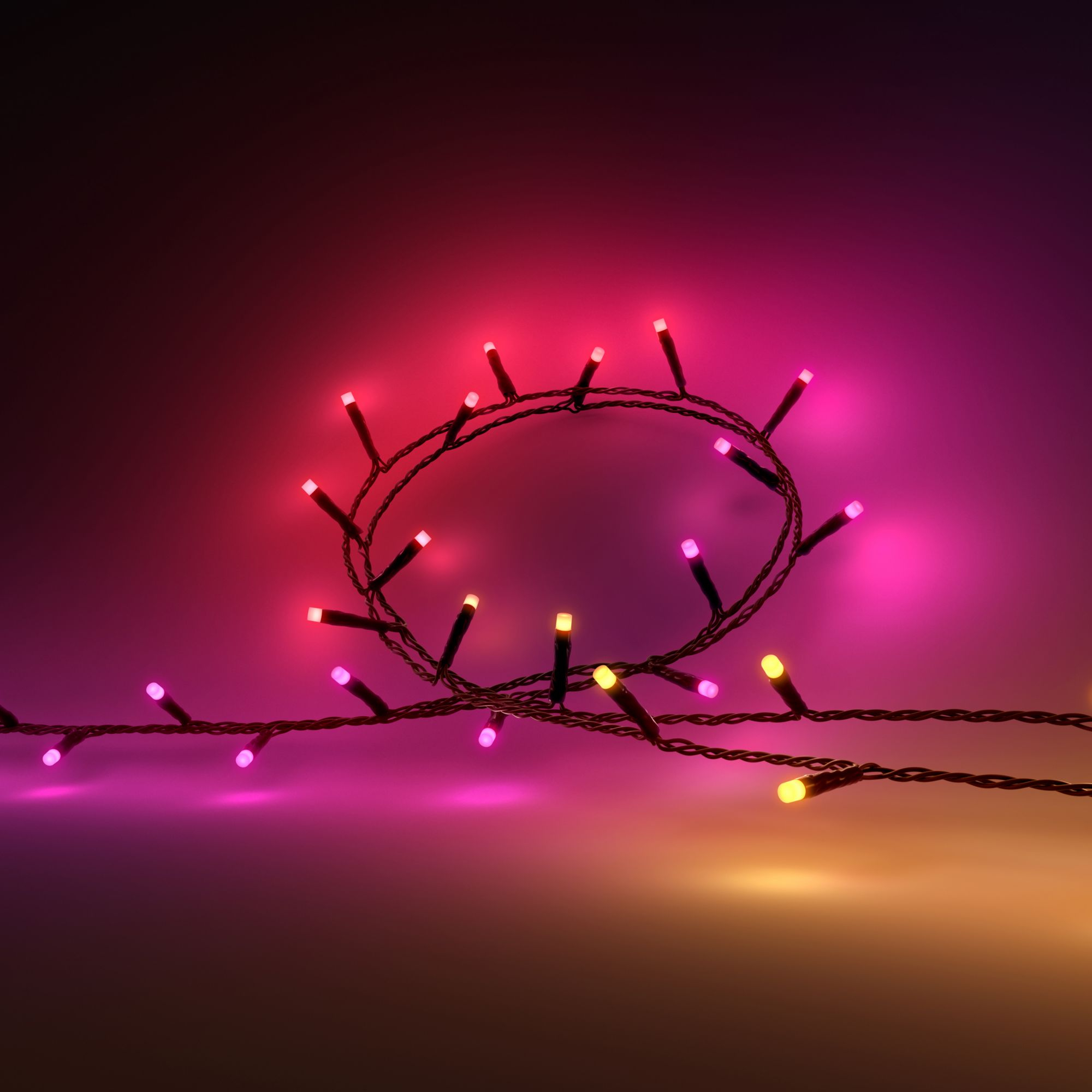 Lichtsnoer PHILIPS HUE Festavia 40m 500LEDs
