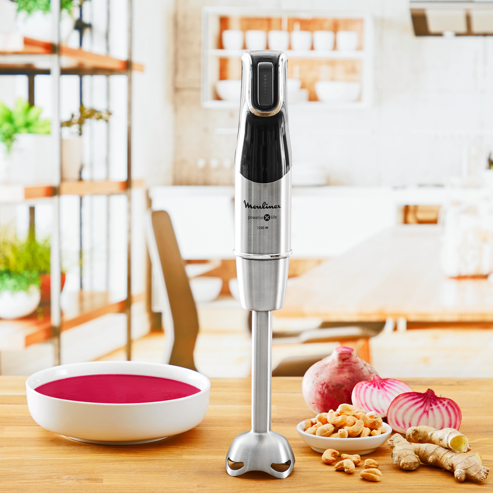 Moulinex Mixeur plongeur DD95HD10