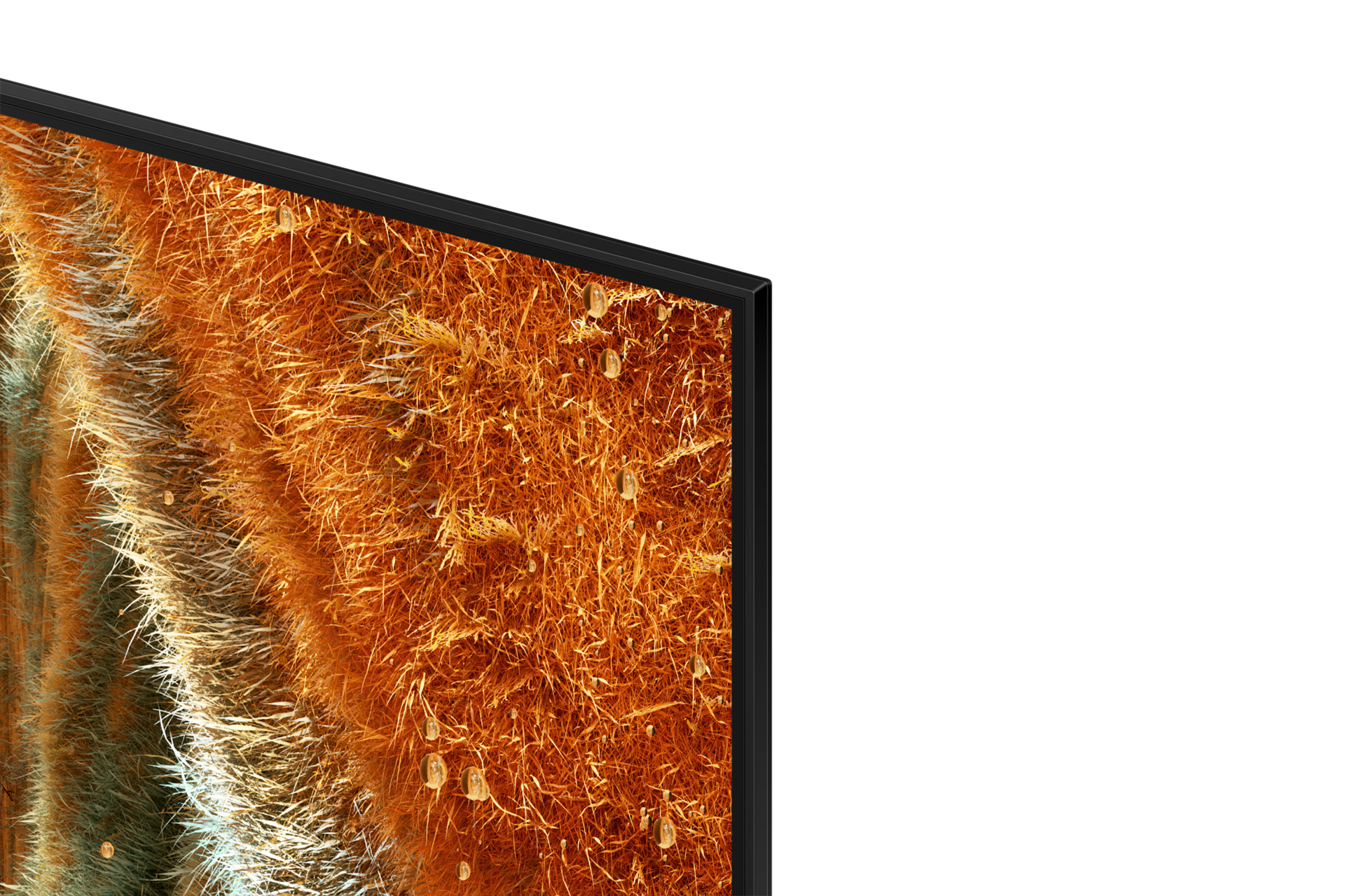 Samsung Neo QLED 8K TV QE65QN77F