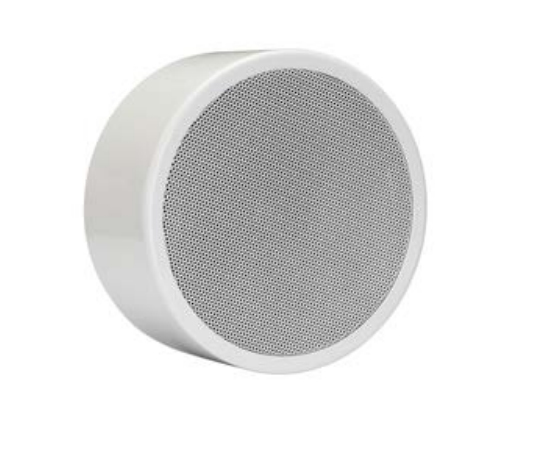 Opbouwluidspreker BIAMP CommercialEN-SM6T10-W per stuk