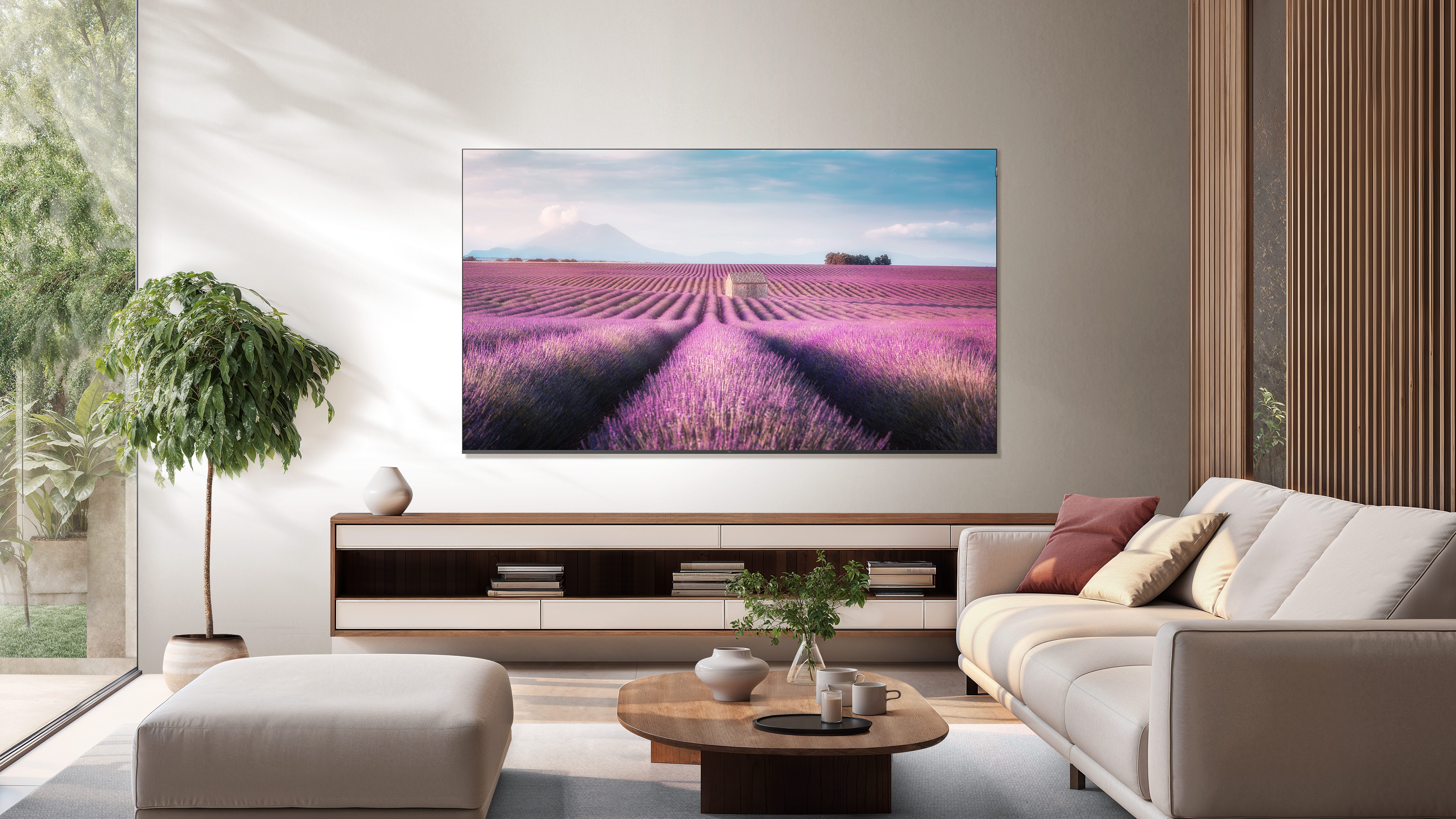 QLED TV TCL 65QLED780K / Google TV