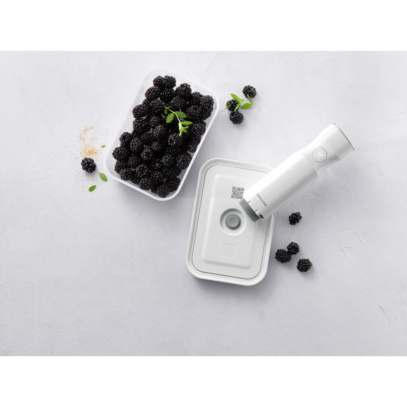 Bewaardoos ZWILLING 36804-200-0 Fresh & Save / M / Kunststof