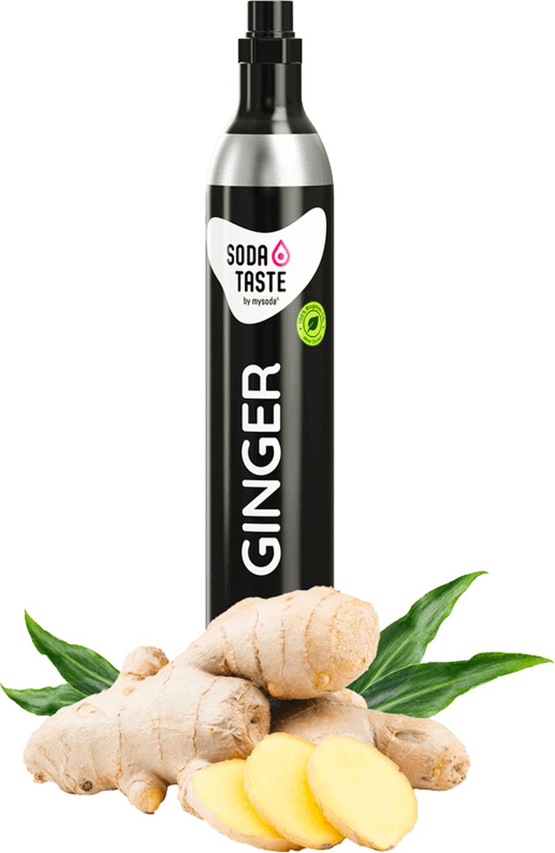 Cylinder MYSODA 12500 SodaTaste Ginger EXTRA CYLINDER 60L