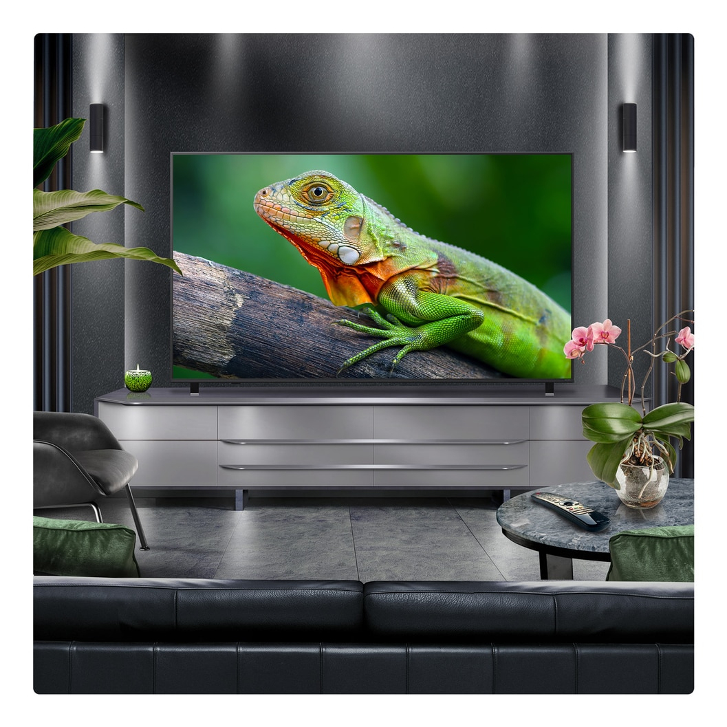 QNED TV LG 55QNED84A6C / webOS