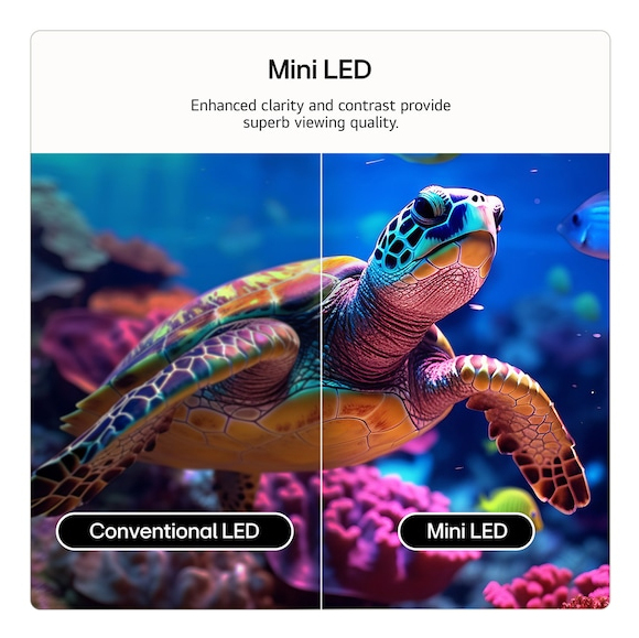 QNED evo TV LG 50QNED87B6A / webOS