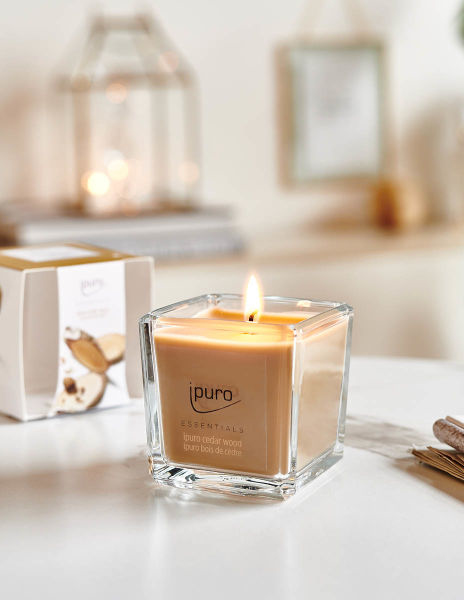 Geurkaars IPURO 26IFC1205 Essential Cedar Wood / 125gr