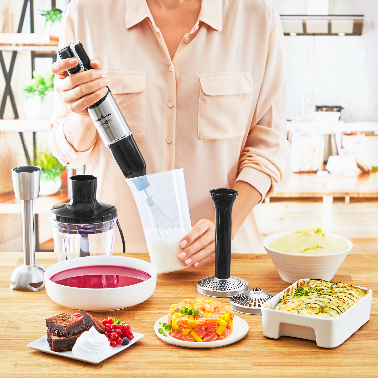 Moulinex Mixeur plongeur DD95HD10