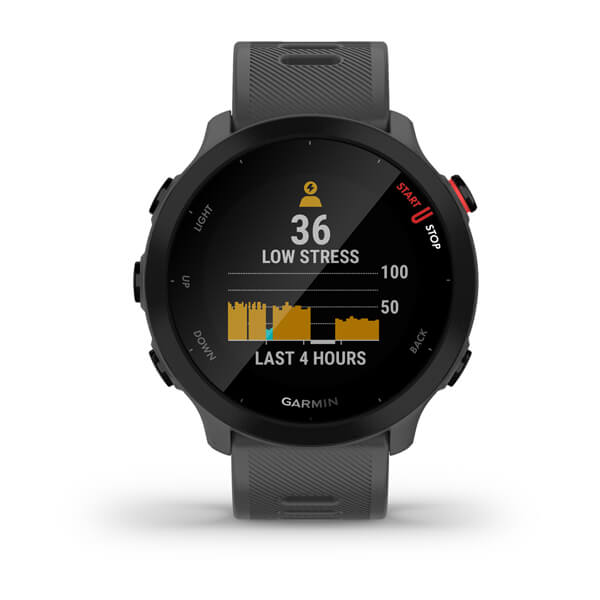 Smartwatch GARMIN FORERUNNER 55 MONTERRA GREY