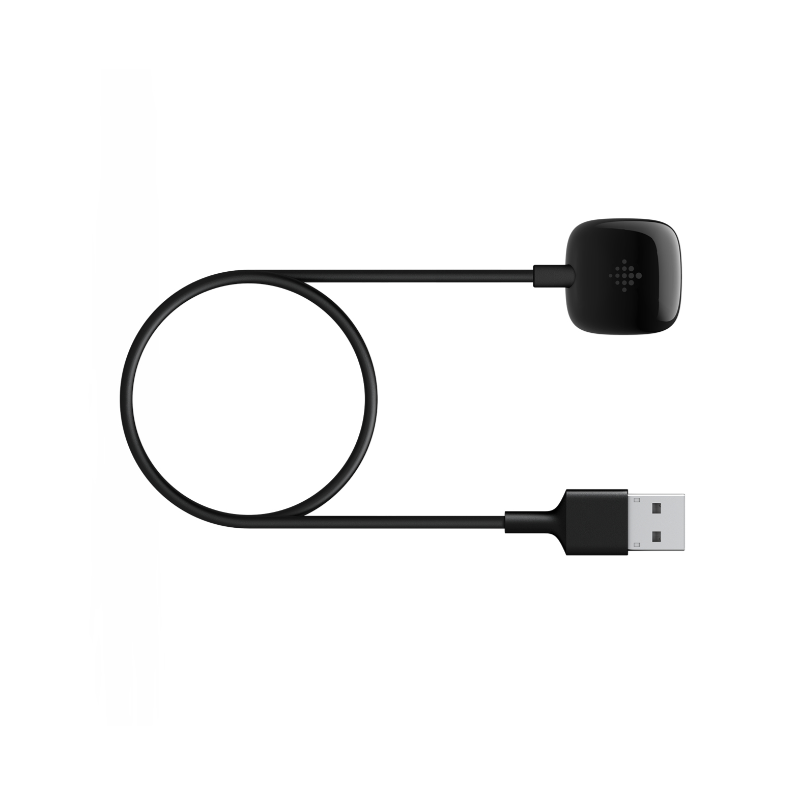 Fitbit FB174RCC slimme draagbare accessoire Oplaadkabel Zwart