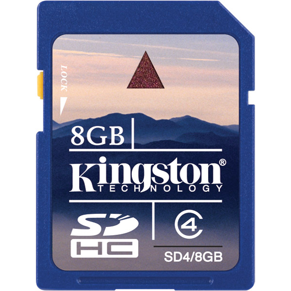 Micro SD Kingston 8GB