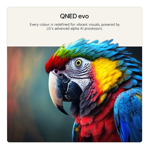 QNED evo TV LG 50QNED87B6A / webOS