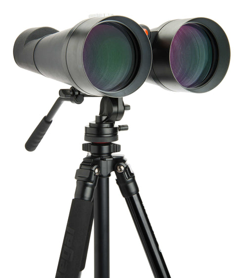 Celestron SkyMaster 25x100 jumelle BaK-4 Noir