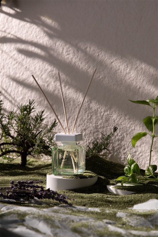 Diffuser IPURO 26IFC1631 Essentials Herbal Garden 100ml