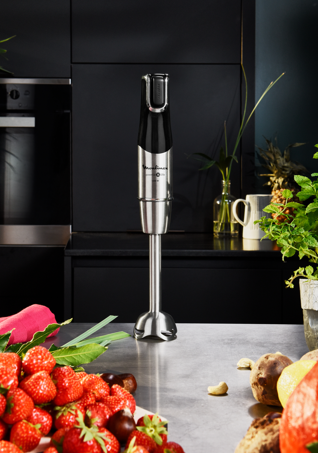 Moulinex Mixeur plongeur DD95HD10