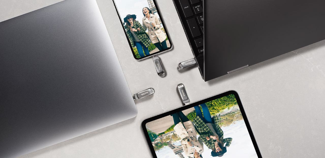 Sandisk Clé USB/Type-C 3.1 Gen1 Ultra Dual Drive Luxe, 64GB, 150MB/s, Argenté