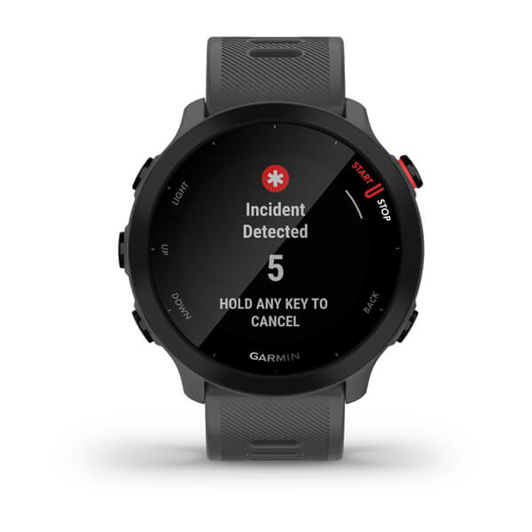 Smartwatch GARMIN FORERUNNER 55 MONTERRA GREY