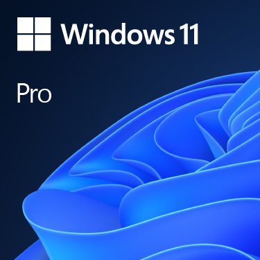 DSD Microsoft Windows 11 Pro 32-bit/64-bit OEM