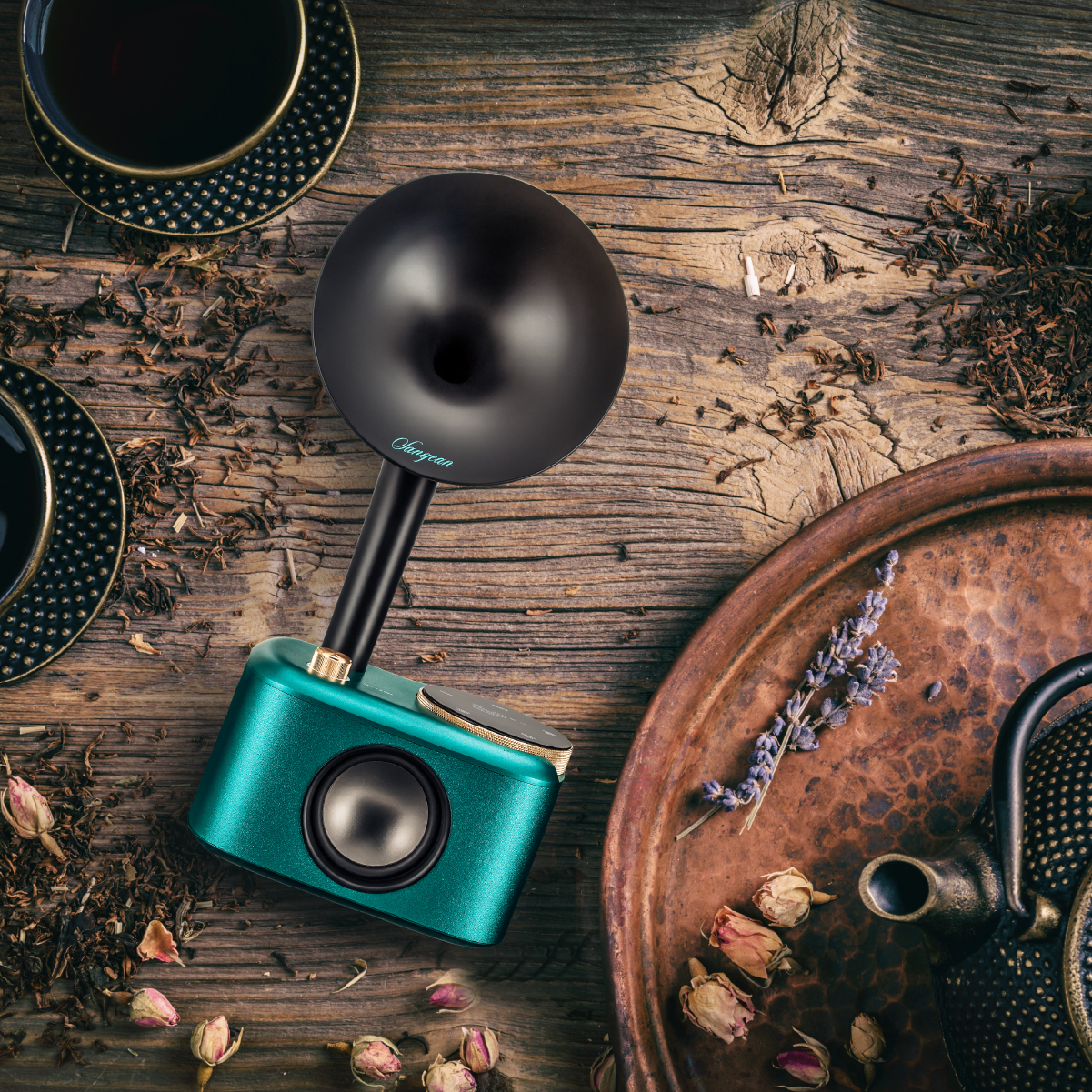 DAB+ radio SANGEAN CP-100D ocean/zwart