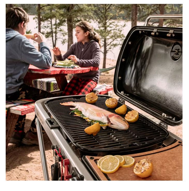 BBQ WEBER 9010039 Traveler / Black
