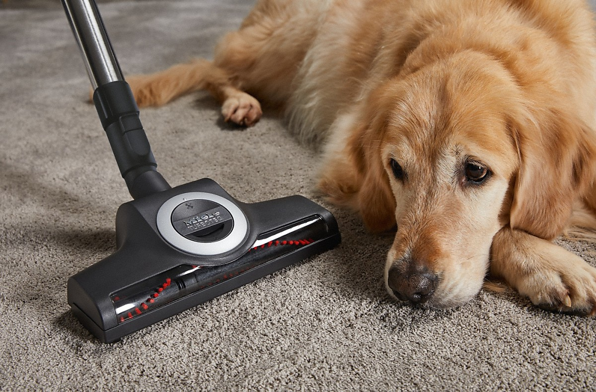 MIELE COMPLETE C3 CAT&DOG FLEX POWER ROUGE